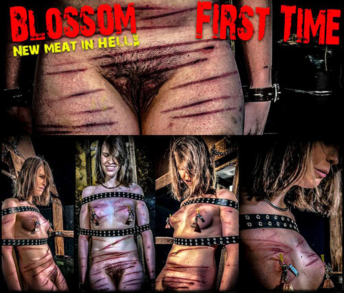 BrutalMaster – NEW MEAT Blossom First Time (Chapter One)