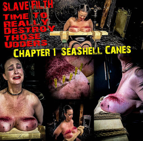 BrutalMaster – Slave Filth – Time To Really Destroy Those Udders (01.04.23)