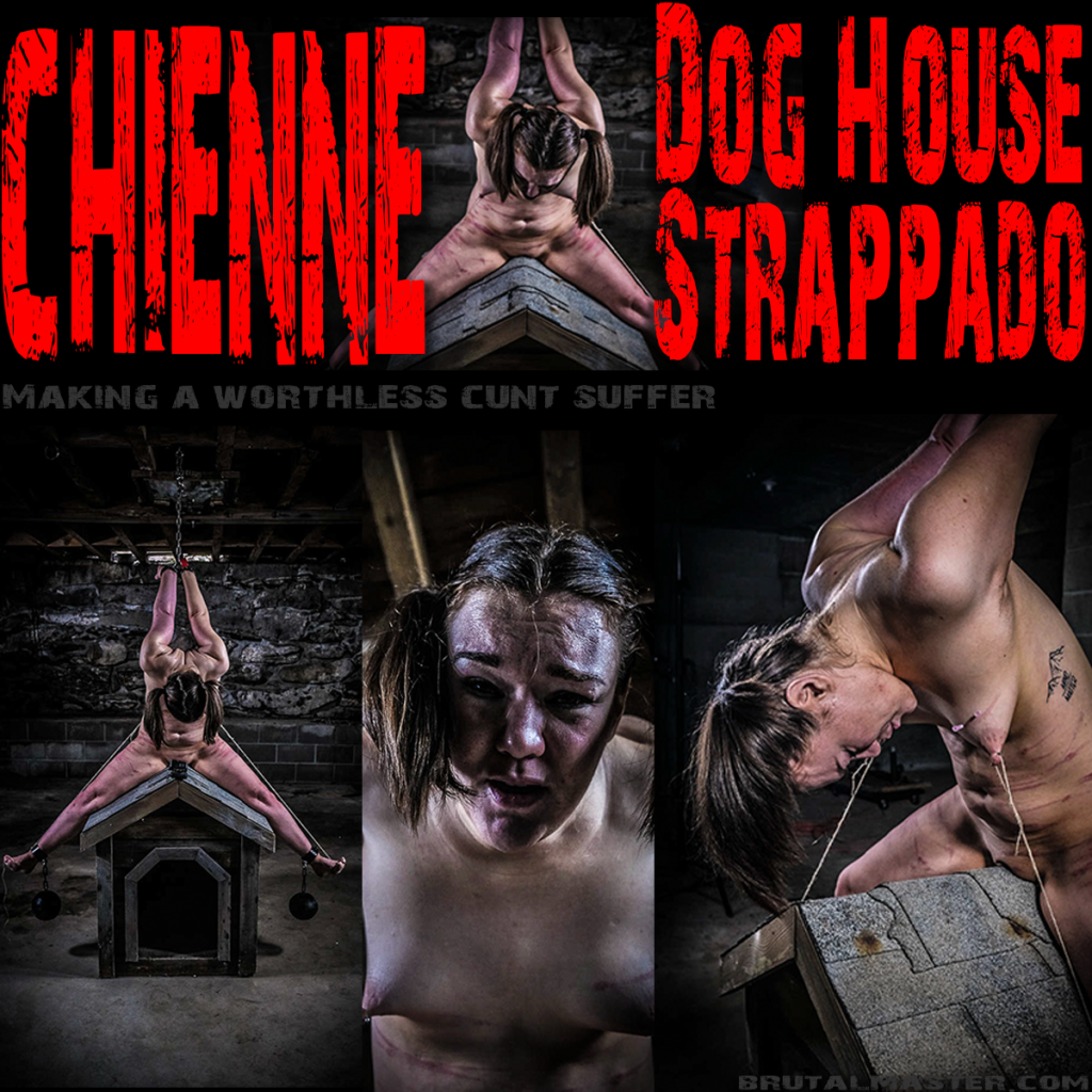 Chienne-Dog House-2023