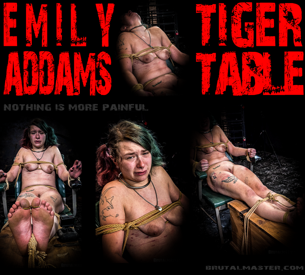 Emily Addams-Tiger Table-2024-25 April