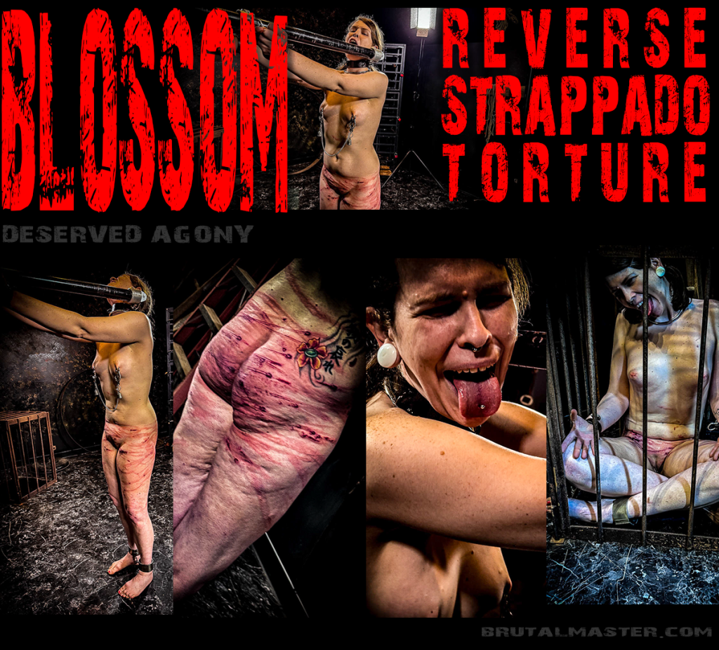 Blossom-Reverse Strappado Torture-06 Jun-2024