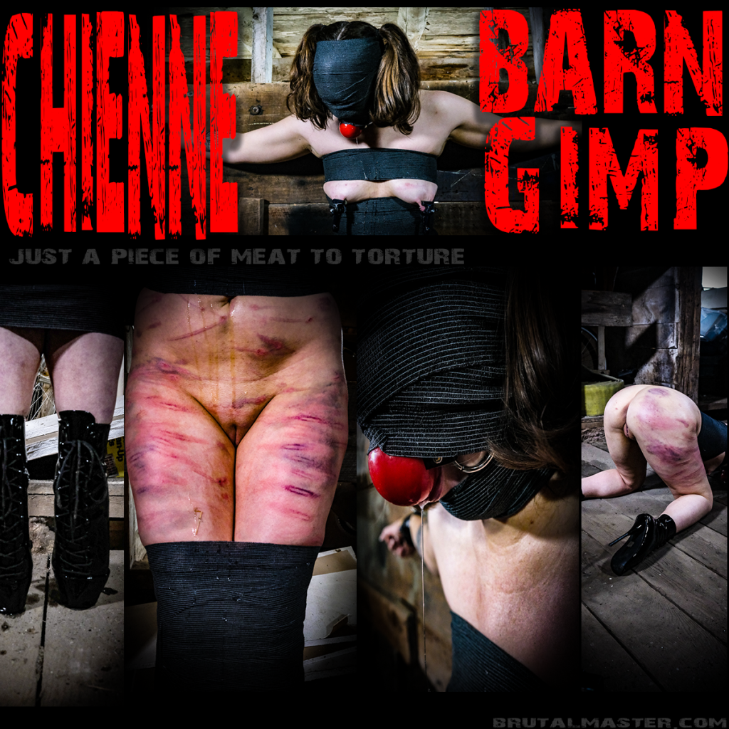 Chienne-Barn Gimp-01 Aug-2024