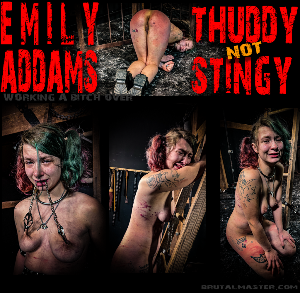 Emily Addams-Thuddy Not Stingy-15 Aug-2024