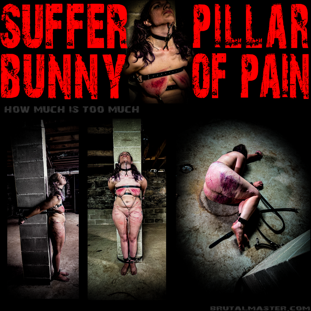 Suffer Bunny-Piller of Pain-22 Aug-2024