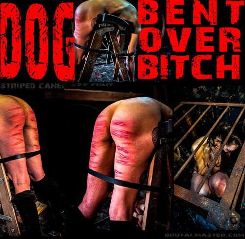 BrutalMaster – Dog – Bent Over Bitch (10.24.24)