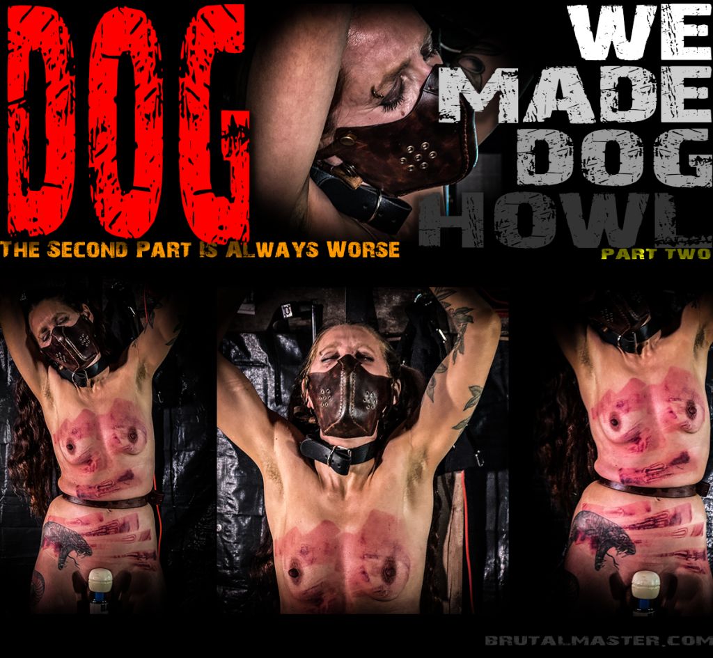 05 Jun Dog | WE Made Dog Howl pt 2