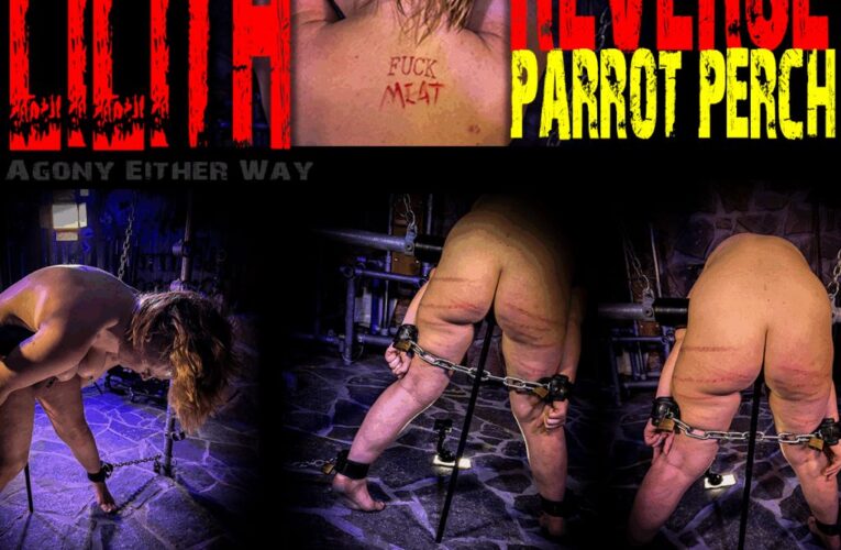 Lilith-Reverse Parrot Perch -28 August 2025