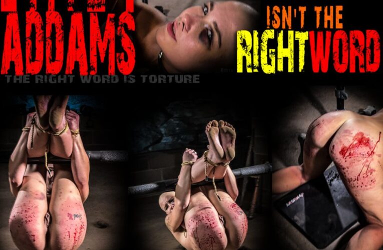 EmilyAddams-Maybe Cool Isnt The Right Word-24 July 2025