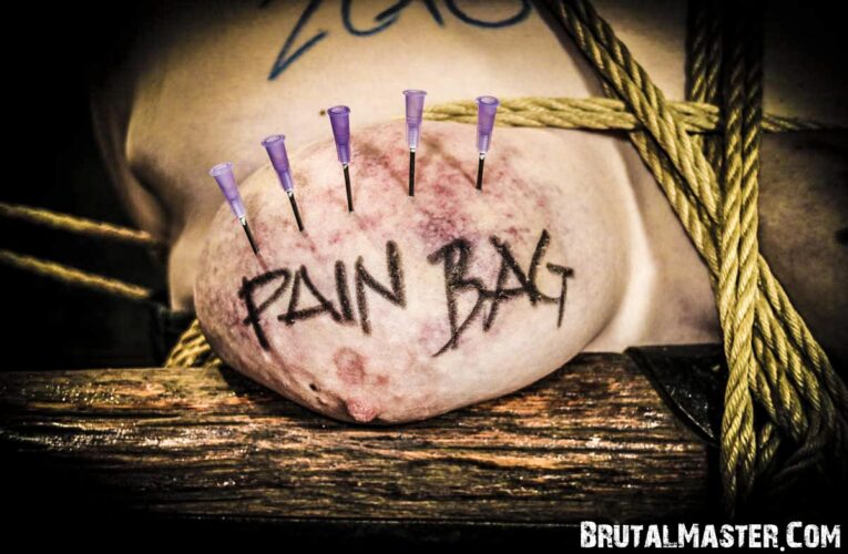 Pain Bags