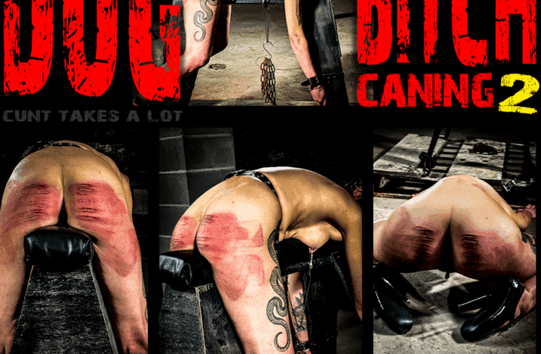 Dog-Bitch Caning-4 December 2025