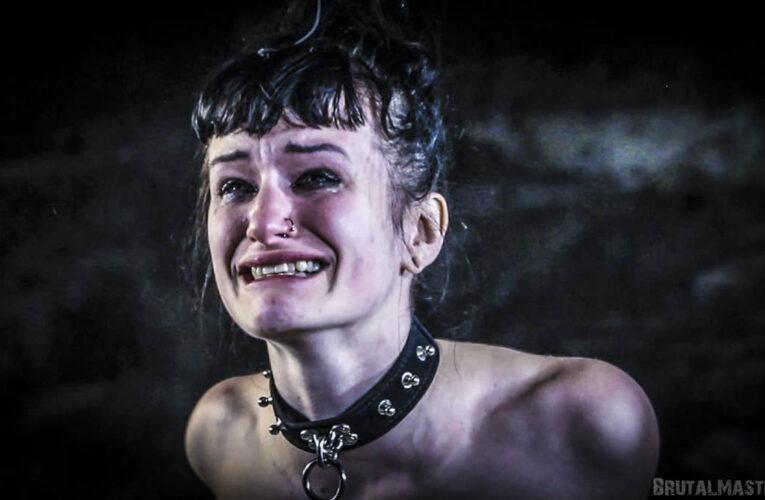 Bull Whipped in Hell