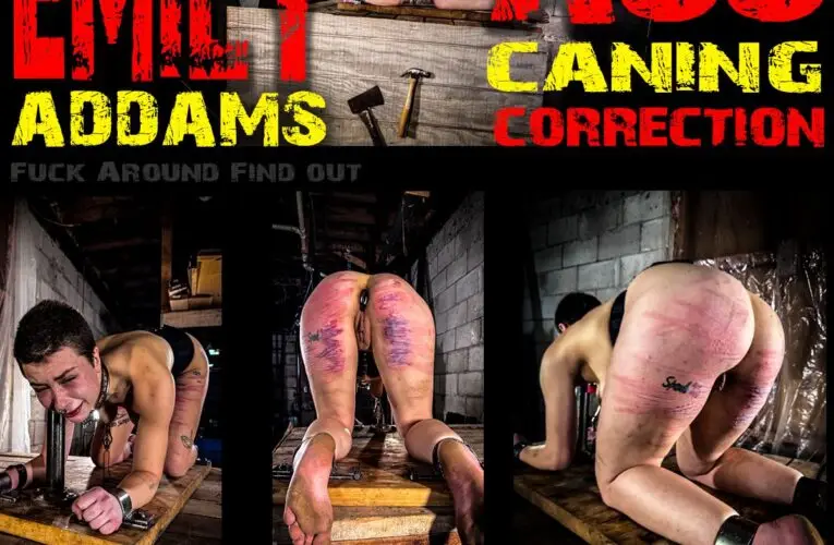 Emily Addams Correction 12 February 2026