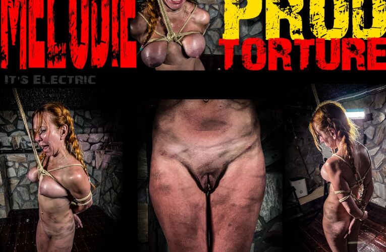 Melodie Cattle Prod Torture
